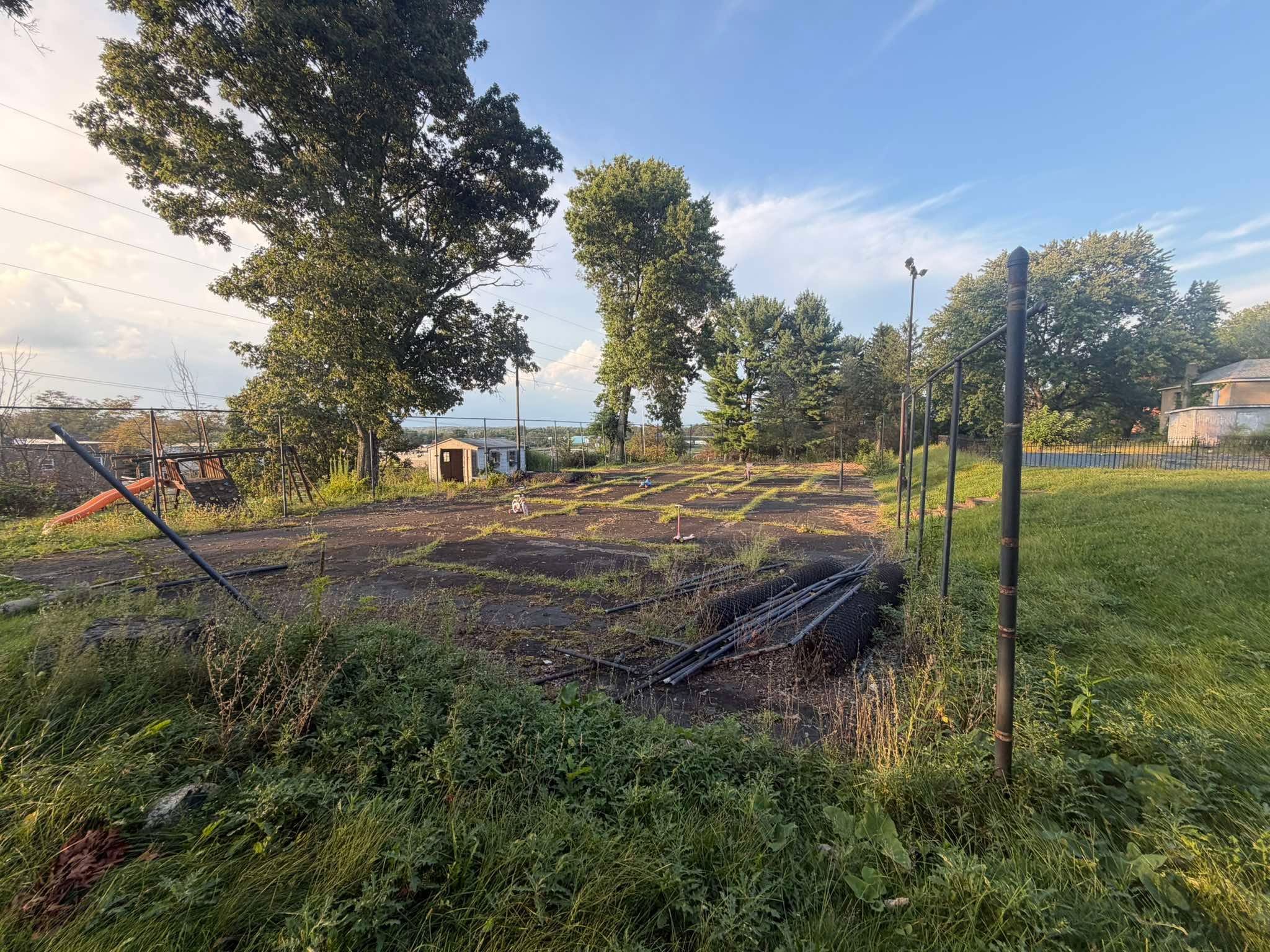Overgrown court area before restoration