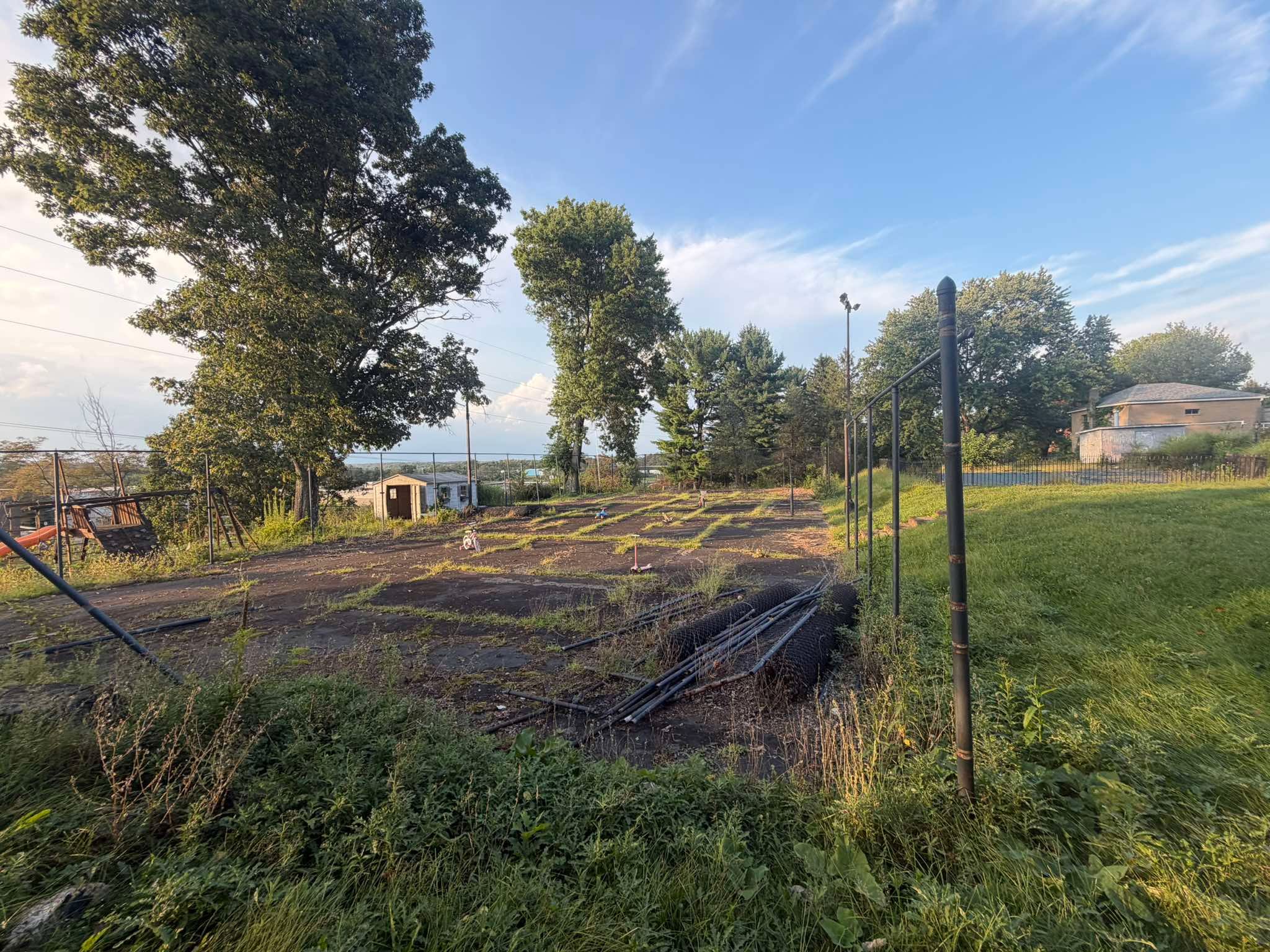 Overgrown backyard court area before restoration