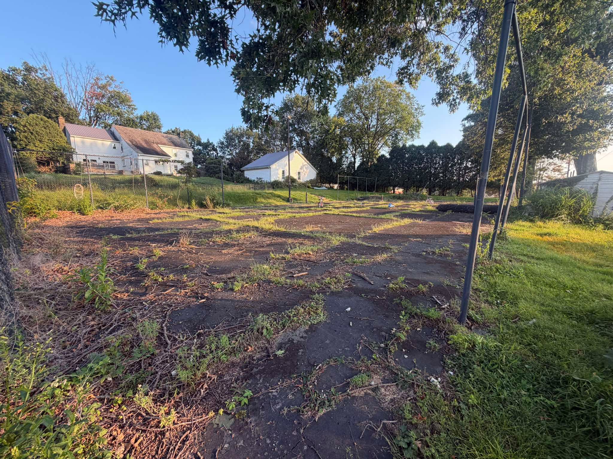 Overgrown court area before restoration