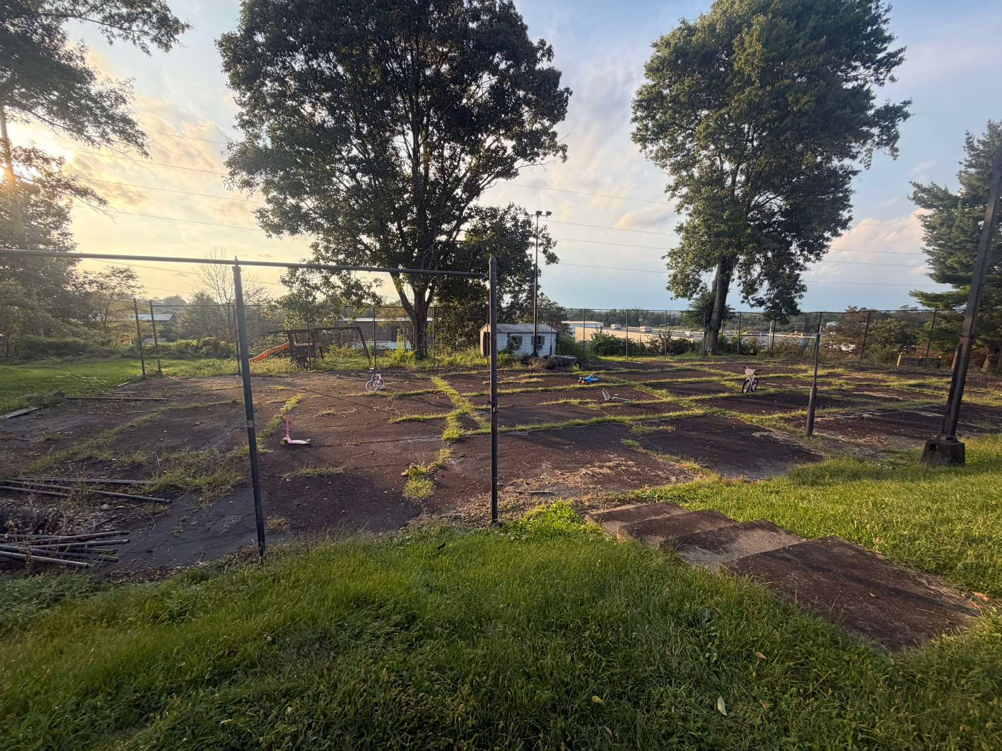 Overgrown court area before restoration