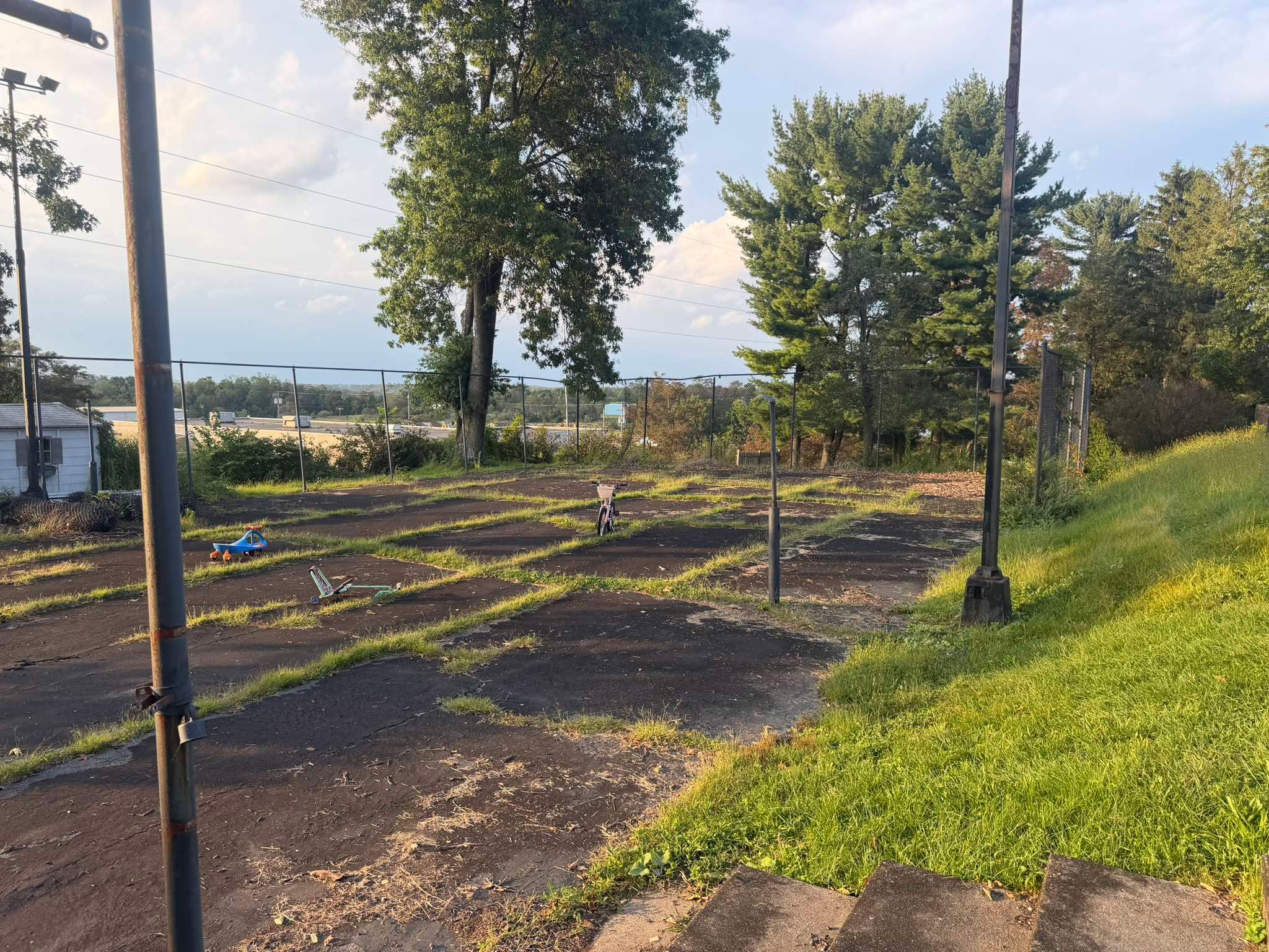 Overgrown court area before restoration